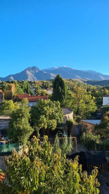 Le Cocon En Coeur De Ville Prades  Dış mekan fotoğraf